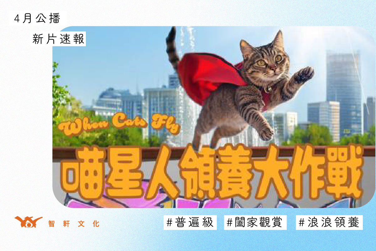 喵星人領養大作戰