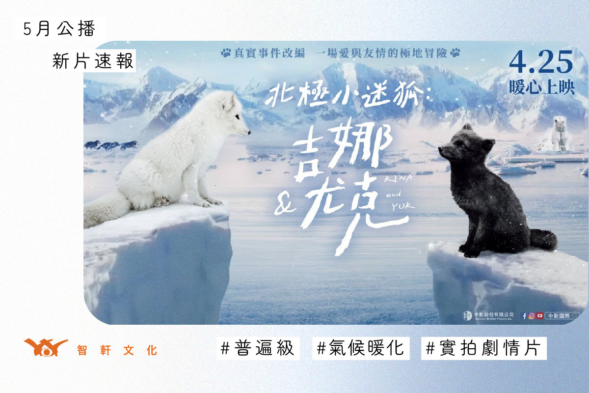 北極小迷狐