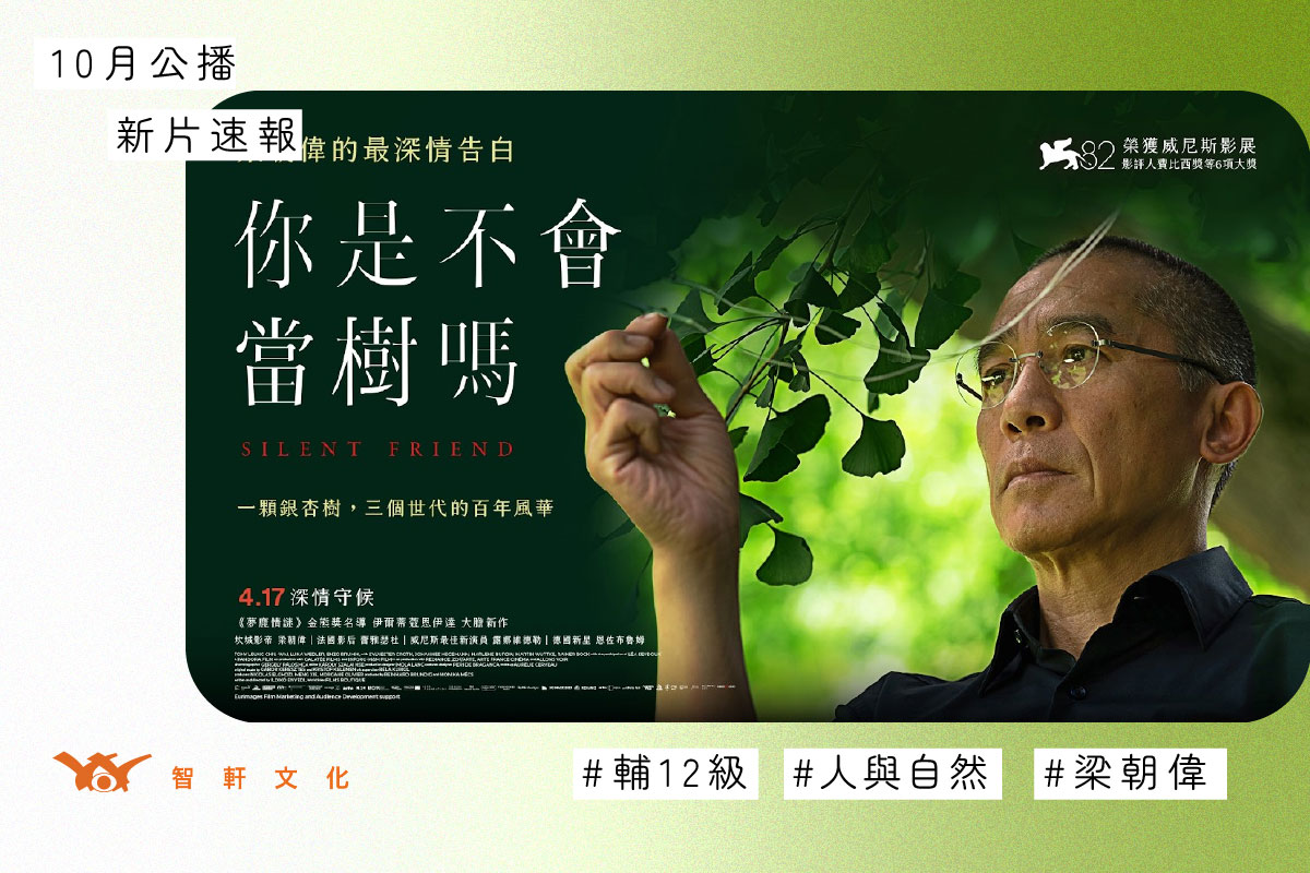 你是不會當樹嗎