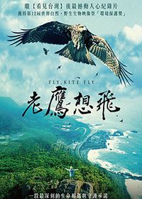 老鷹想飛 Fly，Kite Fly