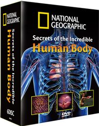 不可思議的人體秘密 Secrets of The Incredible Human Body