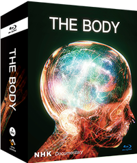 神秘的人體網絡 The Body