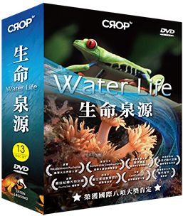 生命泉源 Water Life