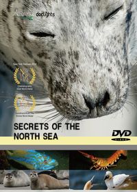 北海解密 Secrets of the North sea