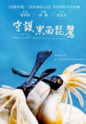 守護黑面琵鷺 Caring for Black-Faced Spoonbill